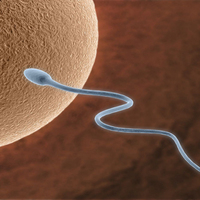 Tüp bebekte yeni yöntem!