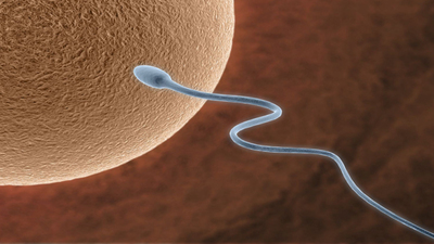 Tüp bebekte yeni yöntem!