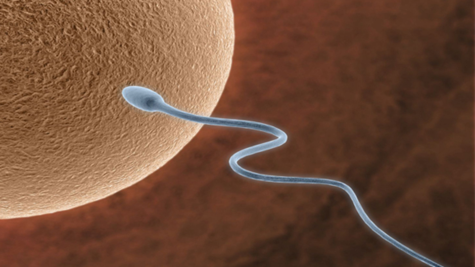 Tüp bebekte yeni yöntem!