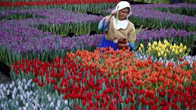 Hollanda'da işsizlik oranı geriledi