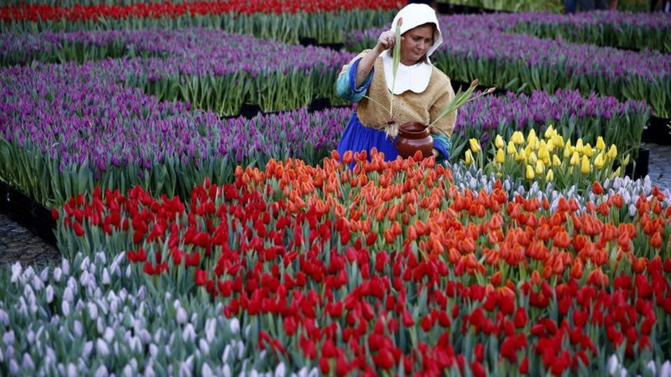 Hollanda'da işsizlik oranı geriledi