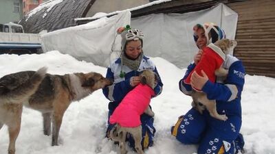 Almanya'dan Bitlis'teki köpeklere elbise
