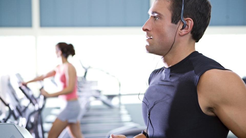 Spora başlamadan önce...