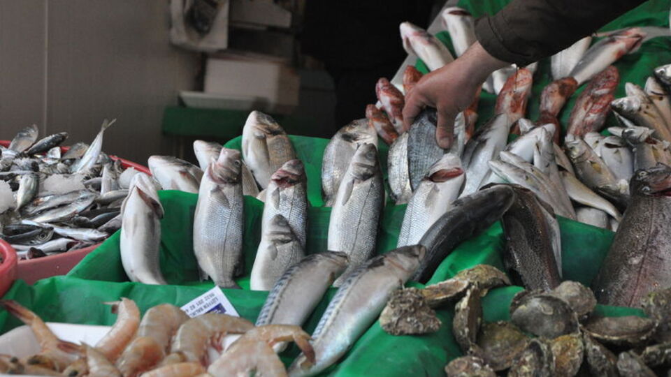 Balık azalınca fiyatlar tavan yaptı