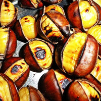 Kış aylarında kestane yerseniz...