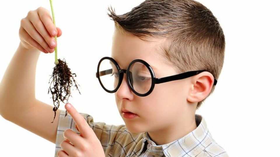 Çocuklarda zeka gelişimi için 10 adım