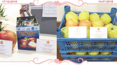 Meclis'e bir elma düştü