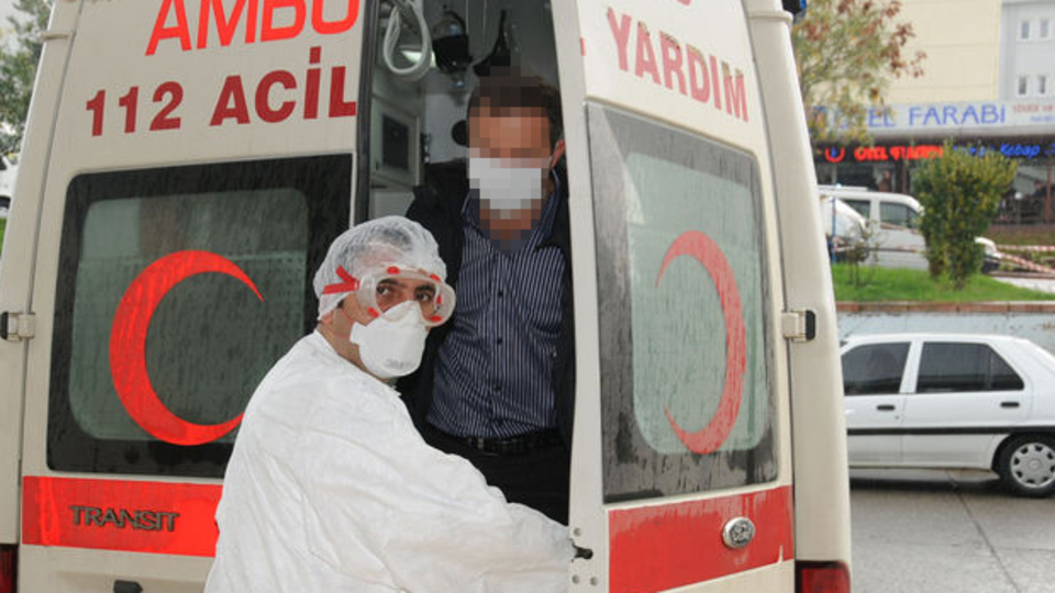 Giresun'da domuz gribi alarmı!