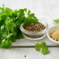 Bu bitki doğal afrodizyak!