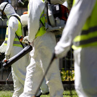 Beyaz Saray'ı alarma geçiren virüs!