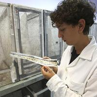 Zika virüsü için acil önlem çağrısı!