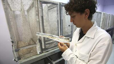 Zika virüsü için acil önlem çağrısı!