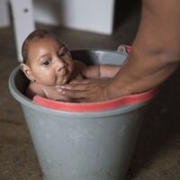 Dünya Sağlık Örgütü'nden Zika virüsü için "acil durum komitesi"