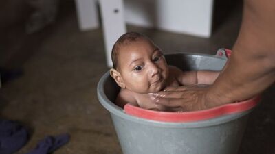Dünya Sağlık Örgütü'nden Zika virüsü için "acil durum komitesi"