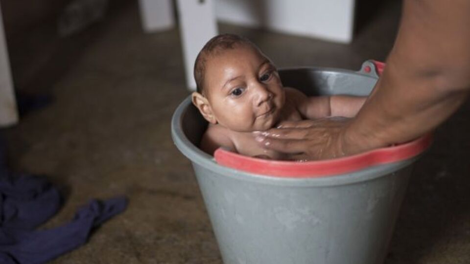 Dünya Sağlık Örgütü'nden Zika virüsü için "acil durum komitesi"