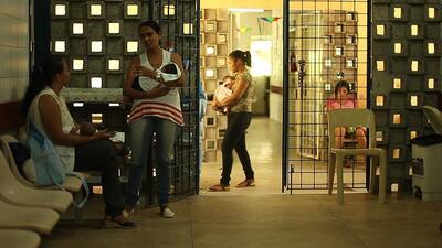 Zika virüsü seyahatlerle taşınabilir!