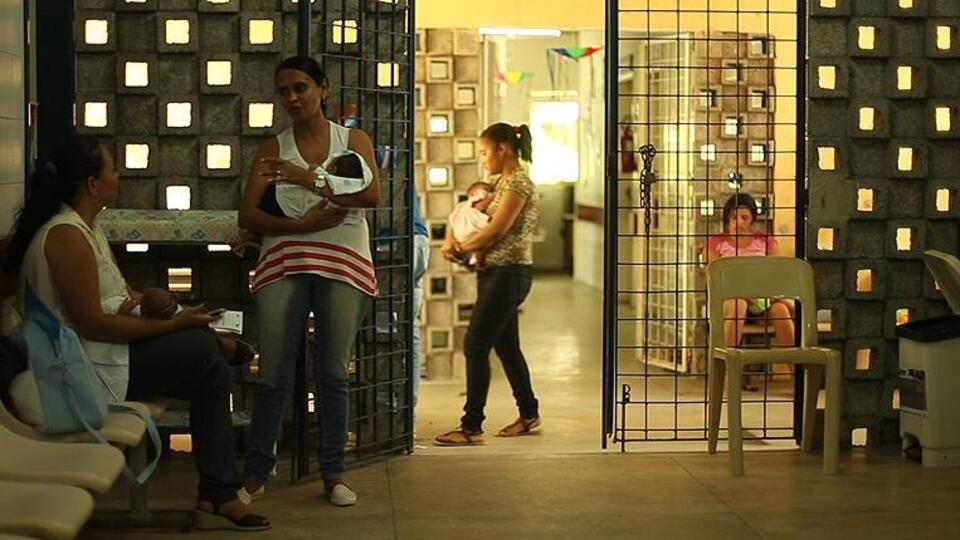 Zika virüsü seyahatlerle taşınabilir!