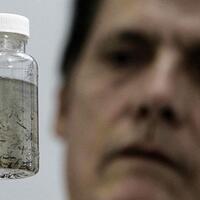 'Zika virüsü insanlara uyum sağlıyor'