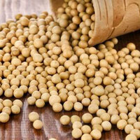 Kanserden koruyorlar!