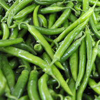 İstanbul'da Ocak'ın zam şampiyonu