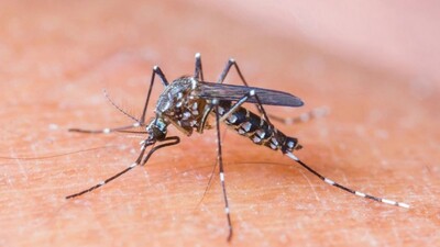 Korkulan virüs seksle de bulaşıyor!