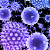 21. yüzyıl "virüs çağı" oldu