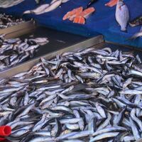 Fiyatları altınla yarışıyor