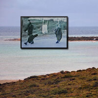 İşte bu koydan Türkiye'ye girmişler