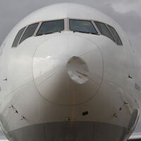 Kuşlar uçağı bu hale getirdi