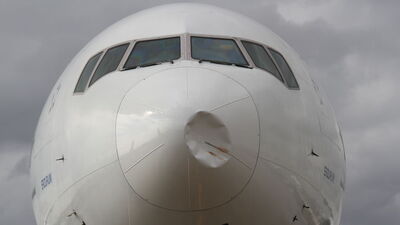 Kuşlar uçağı bu hale getirdi