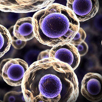 Sigarada kansere yol açan 81 neden var