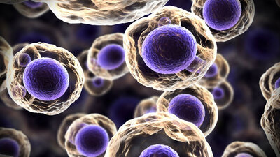 Sigarada kansere yol açan 81 neden var