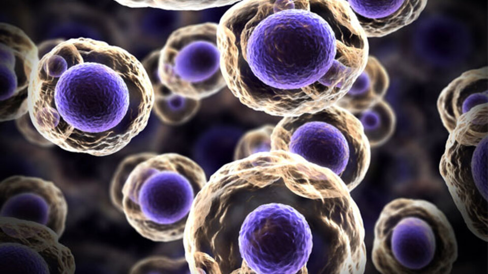 Sigarada kansere yol açan 81 neden var