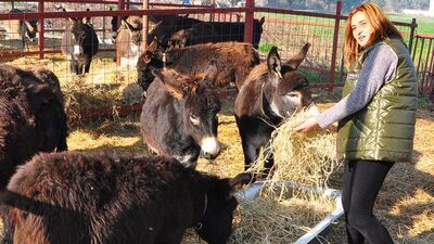 Eşek karaborsaya düştü!