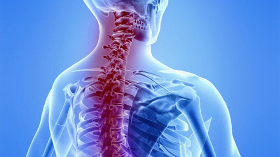 İlk kez insan üzerinde denenecek!