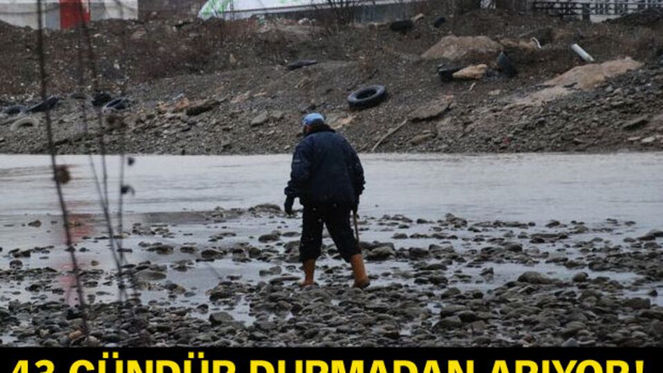 43 gündür durmadan arıyor!