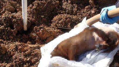 Beyaz çarşafla gömülmüş cisim alarmı!