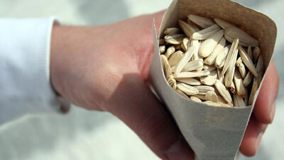 Eğer sık sık çekirdek çitliyorsanız...