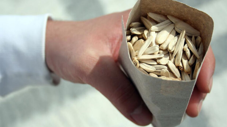 Eğer sık sık çekirdek çitliyorsanız...