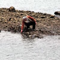 45 gündür kayıp torununu arıyor