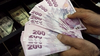 6 bin dolar destek Resmi Gazete'de