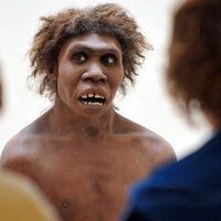 Depresyonun suçlusu bulundu