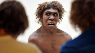 Depresyonun suçlusu bulundu