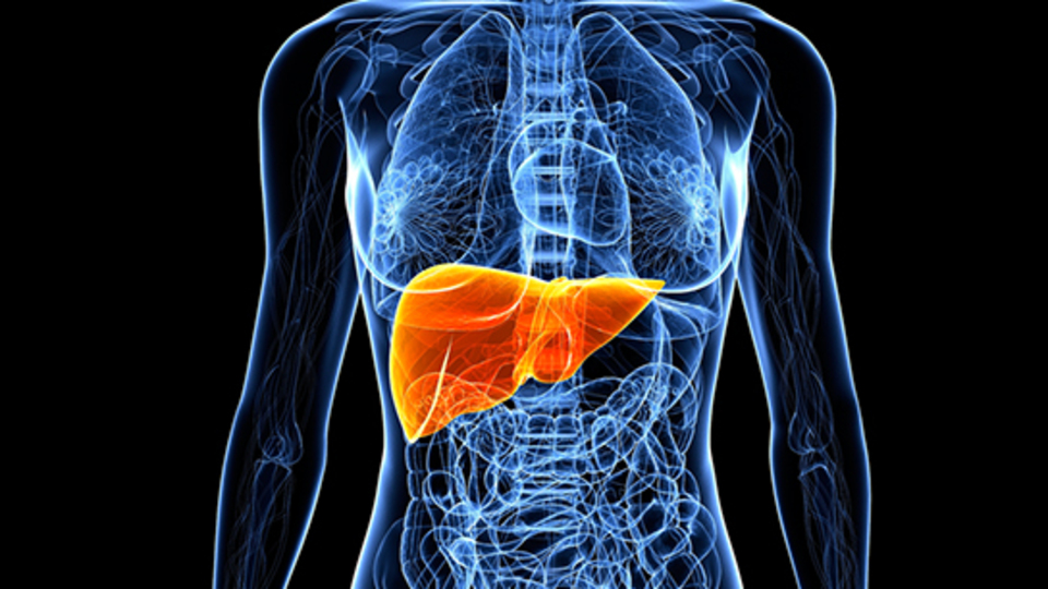 Karaciğer kanseri önlenebilir mi?