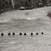 Kayıp çocuklar için 12 kişilik özel ekip