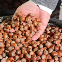 Üreticide 9, markette 32 TL!