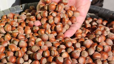 Üreticide 9, markette 32 TL!