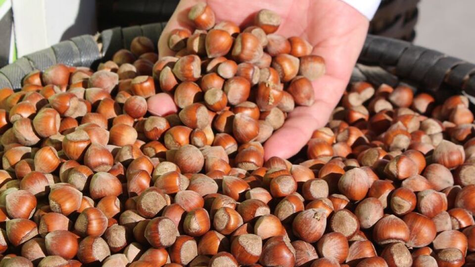 Üreticide 9, markette 32 TL!