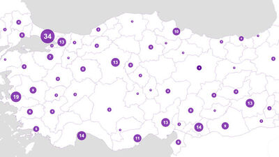 Bu 20 ilde kadın cinayeti yaşanmadı!