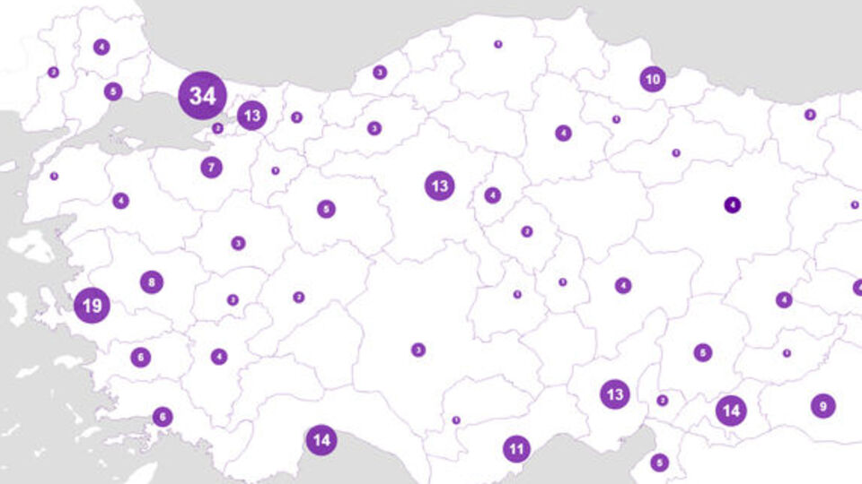 Bu 20 ilde kadın cinayeti yaşanmadı!